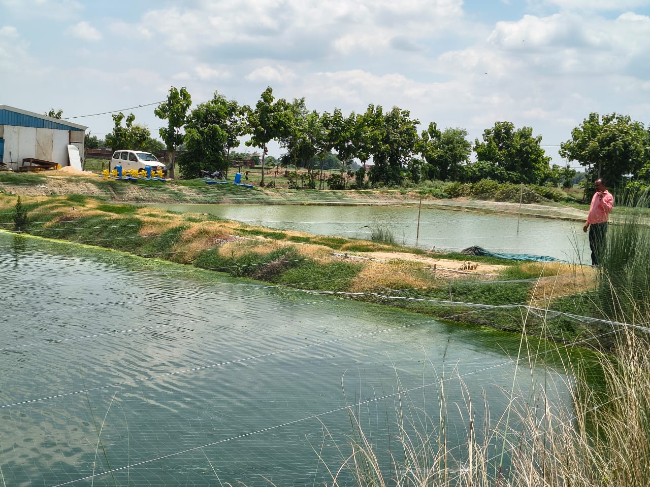 मुख्यमंत्री जलाशय मात्स्यिकी योजना: बिहार के मछली पालकों को 80% तक अनुदान, 31 दिसंबर तक करें आवेदन