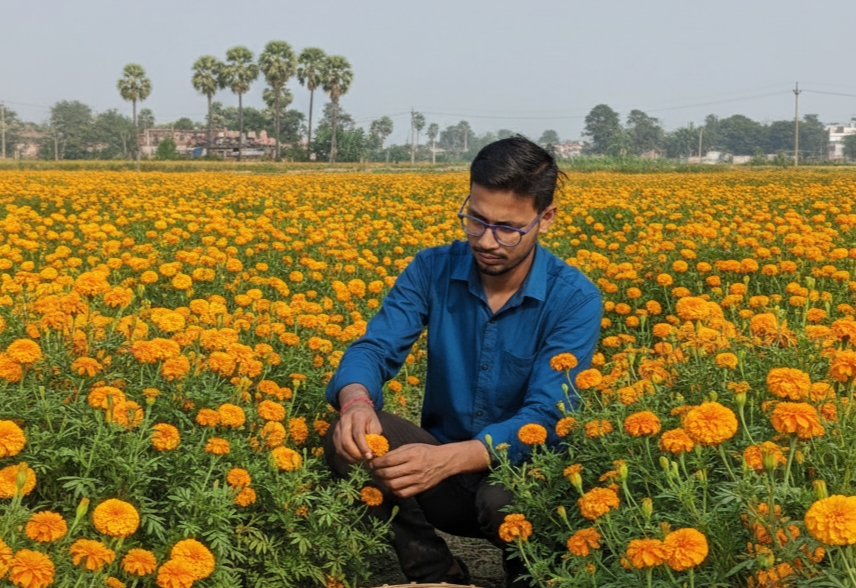 बिहार में गेंदा क्रांति: पारंपरिक खेती छोड़ लाखों का मुनाफा कमा रहे युवा किसान