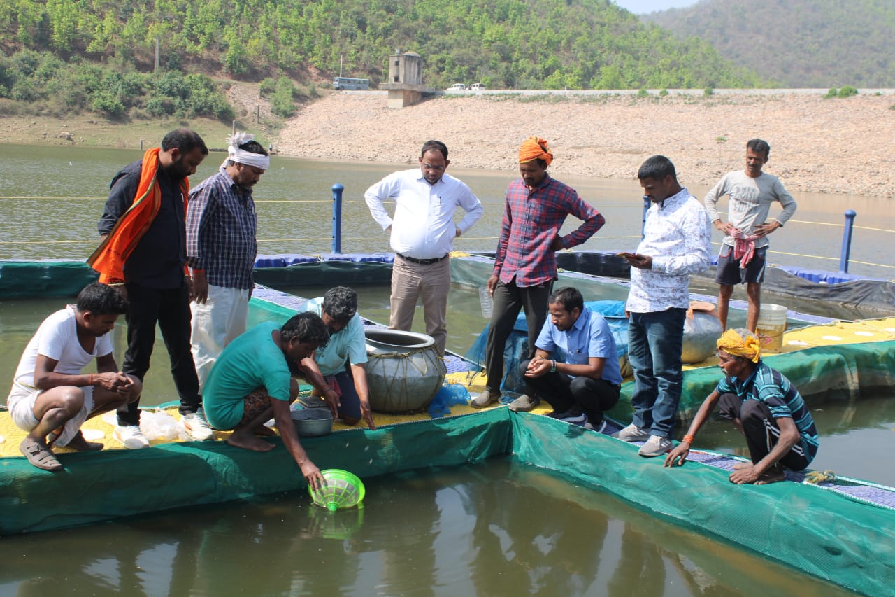 खुशखबरी! प्रधानमंत्री मत्स्य किसान समृद्धि सह योजना के तहत मछली पालकों को मिल रहा सीधा सरकारी लाभ