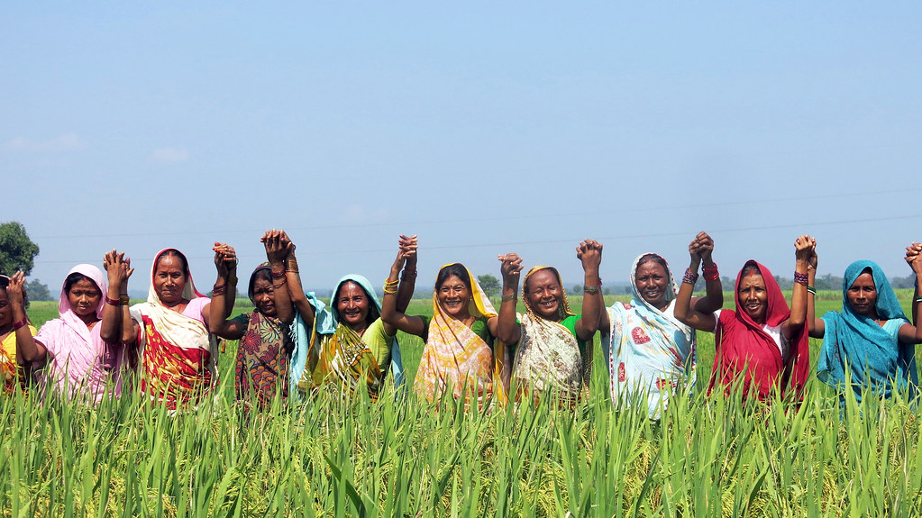 बिहार के किसान उत्पादक संगठन या कंपनी के लिए हॉर्टिकल्चर में सरकारी योजनाओं का लाभ