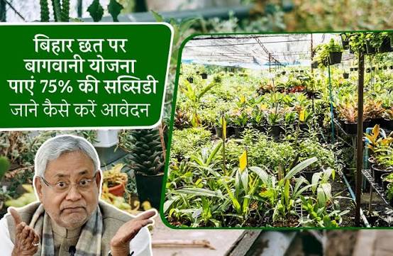 बिहार में छत पर बागवानी: 75% अनुदान से घर होंगे ठंडे, परिवार स्वस्थ और राज्य हरित