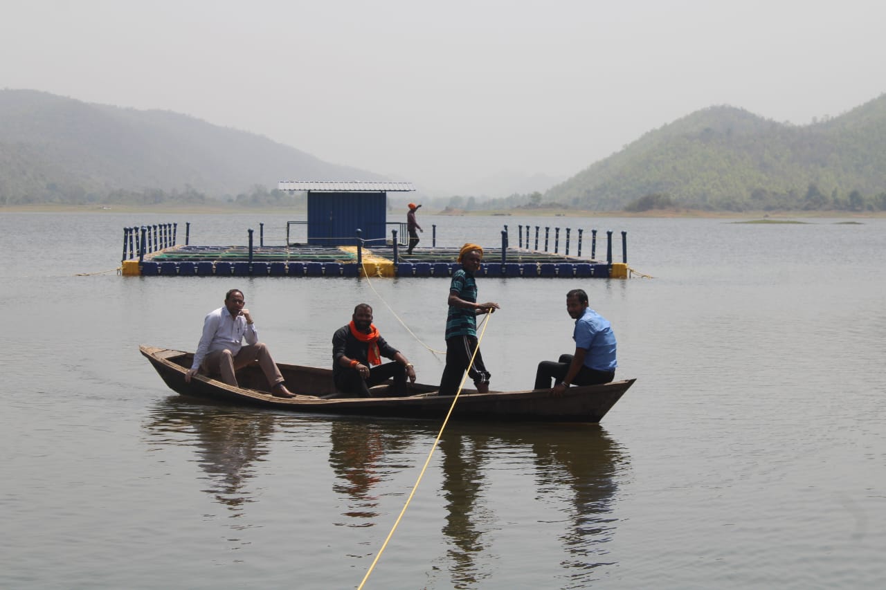 मछली पालन को बिहार सरकार का प्रोत्साहन: नि:शुल्क किट और अनुदानित वाहन से बढ़ेंगे रोजगार के अवसर